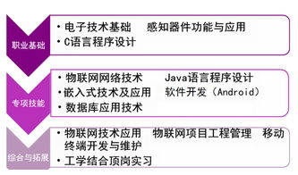 物联网应用技术 培养 互联网 创新人才